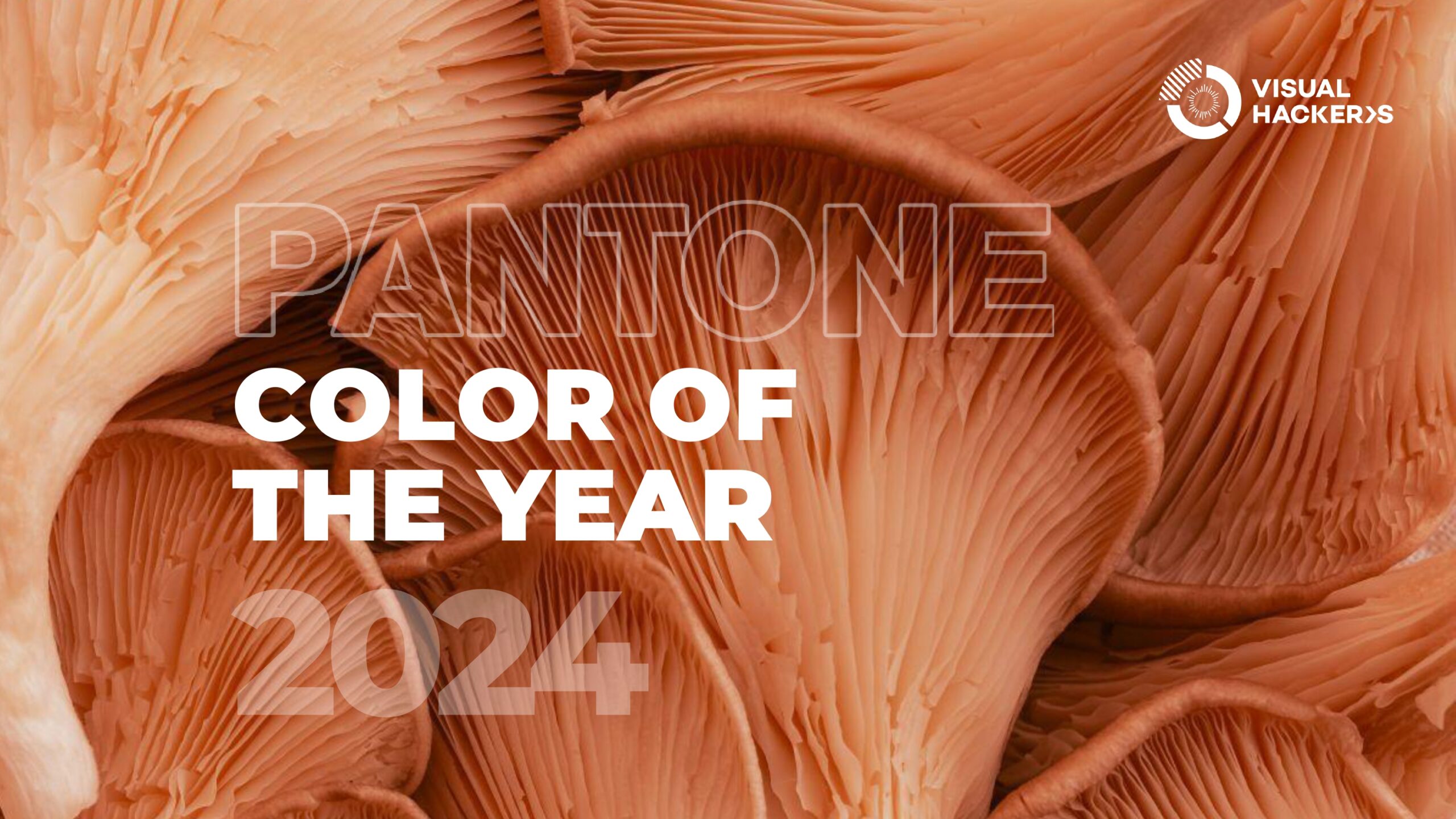 Featured image for “Embrace in design the warmth of Color of the year Peach Fuzz”